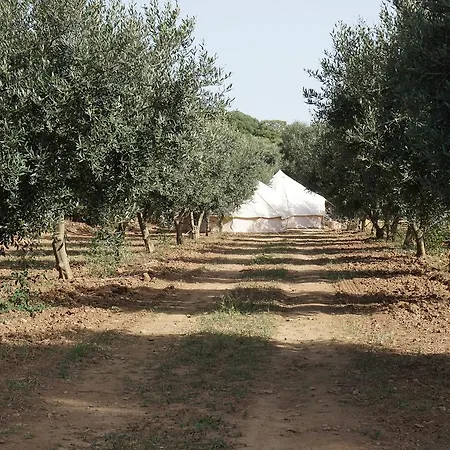Nuvolive Glamping